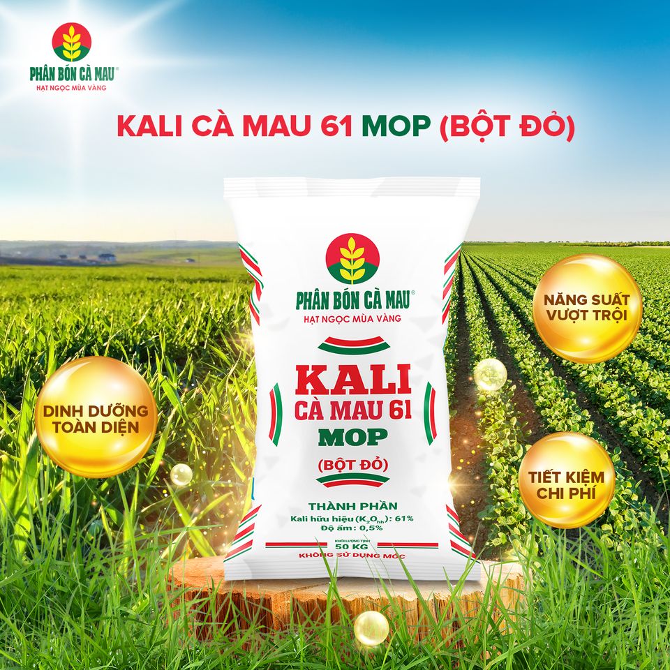 Hướng dẫn sử dụng Kali Cà Mau 61 (Bột đỏ)