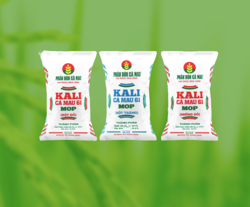 KALI Cà Mau 61