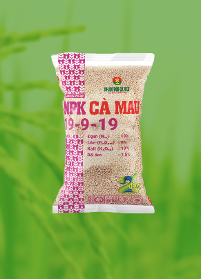 NPK Cà Mau 19-9-19