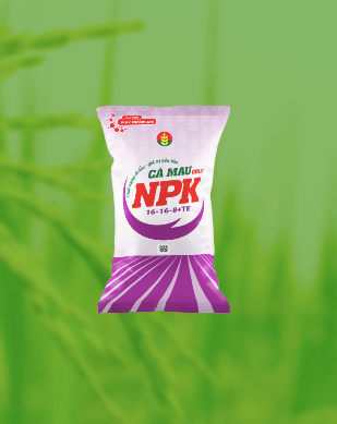 NPK Cà Mau Gold 16-16-8 +TE