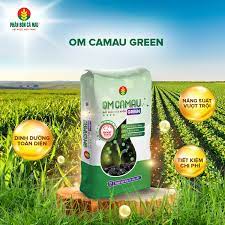 OM CAMAU GREEN