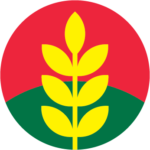 Anh Hai Cà Mau®